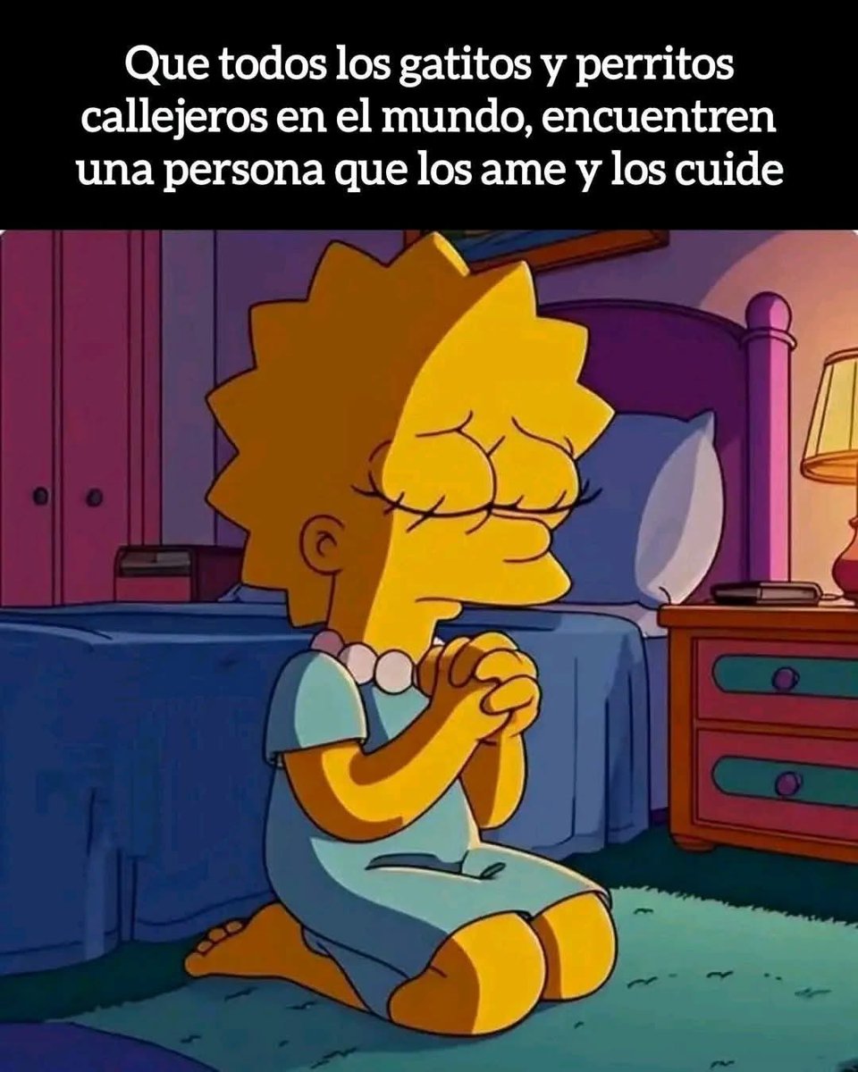 Mayú Guillén 🇲🇽🇺🇦 (@mayumiguillen) on Twitter photo 