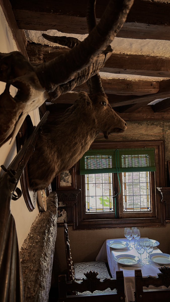 El Mesón de Cándido es un lugar único en el mundo, el guardián de miles de historias y una auténtica institución gastronómica depositaria de recetas centenarias. ¡Te esperamos!

⭐⭐⭐

📍 Plaza del Azoguejo, 5 #Segovia #MesónDeCándido 
📱 921 42 59 11