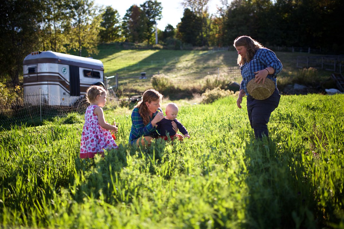Vermont earned an "A" for maternal and infant health in the 2024 March of Dimes Report Card. With top-tier care, statewide training, Medicaid expansion, and paid family leave, Vermont sets the gold standard—even with a large rural population. 
marchofdimes.org/peristats/repo…