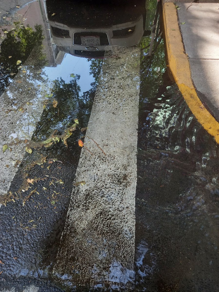 Vicente Balcazar (@vbalcazar661) on Twitter photo 