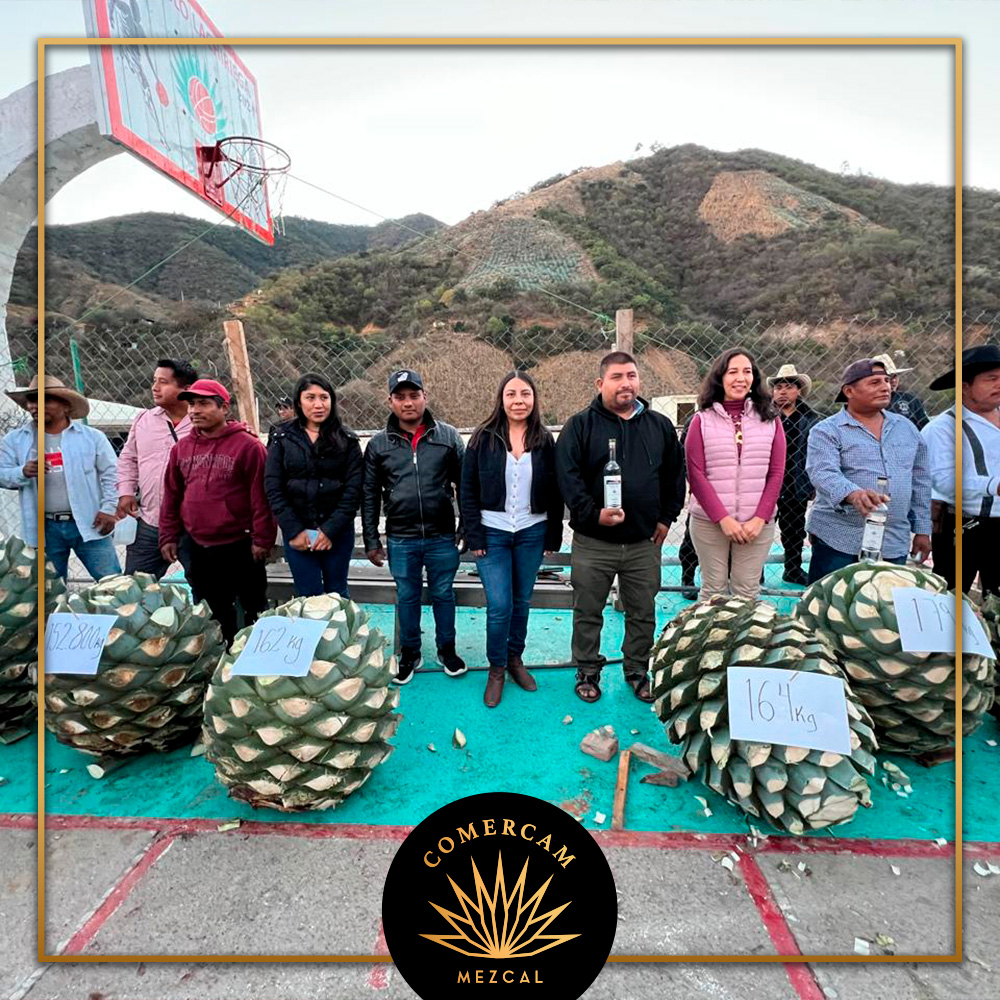 COMERCAM_AC's tweet photo. Con gran alegría y tradición, se llevó a cabo la 𝐅𝐞𝐫𝐢𝐚 𝐀𝐧𝐮𝐚𝐥 𝐞𝐧 𝐇𝐨𝐧𝐨𝐫 𝐚 𝐒𝐚𝐧 𝐏𝐚𝐛𝐥𝐨 𝐀𝐩𝐨́𝐬𝐭𝐨𝐥 𝟐𝟎𝟐𝟓.
La festividad estuvo llena de momentos especiales como la calenda floral y el esperado concurso de la piña más grande.
#COMERCAM #Mezcal #DOM https://t.co/Ab8yOQTXUD