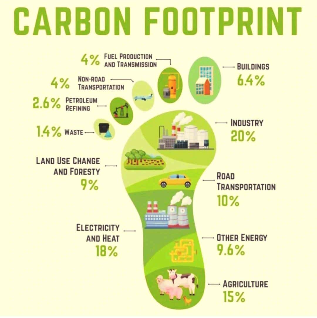Kelly Wise tweet media