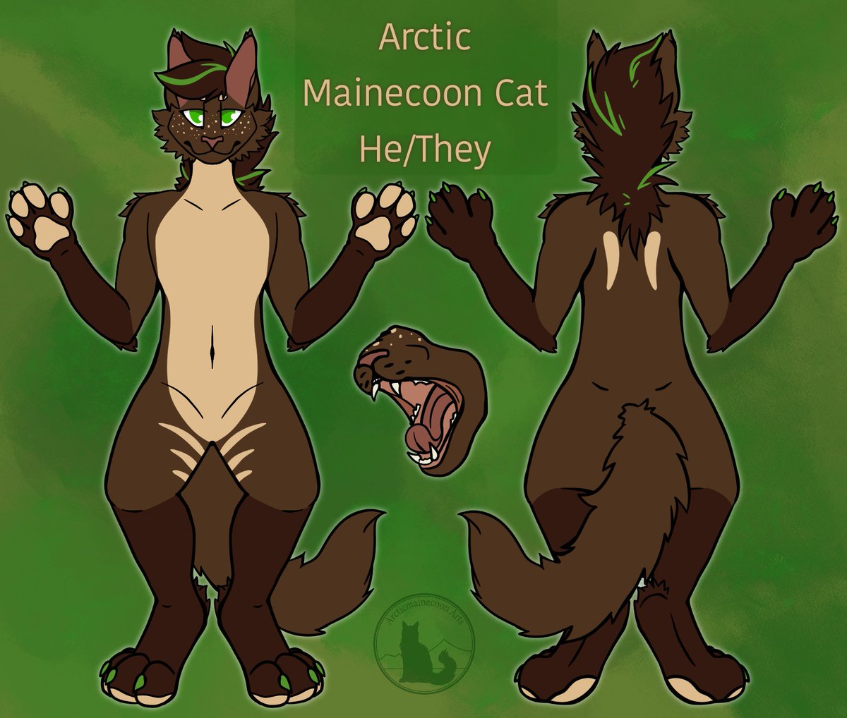 arcticmainecoon's tweet photo. @ChillDrakaina This is Arctic he is cool and stupid :D https://t.co/lb6uhYOd2h