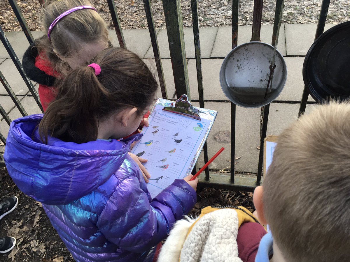 MrsPBHPS's tweet photo. After making bird feeders to attract different birds to our school grounds, Reception took part in the @Natures_Voice Big Garden Bird Watch. We noted what we saw and inputted our data on to a pictogram @BeaufortHillPri https://t.co/VNO7rH8PEH
