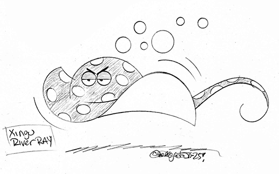RPGBluesguy (@rpgbluesguy) on Twitter photo xingu river ray (rushed pencil edition) <a href="/AnimalAlphabets/">Animal Alphabets</a> #AnimalAlphabets #xinguriverray #sketch #Pencildrawing xingu river ray (rushed pencil edition) <a href="/AnimalAlphabets/">Animal Alphabets</a> #AnimalAlphabets #xinguriverray #sketch #Pencildrawing