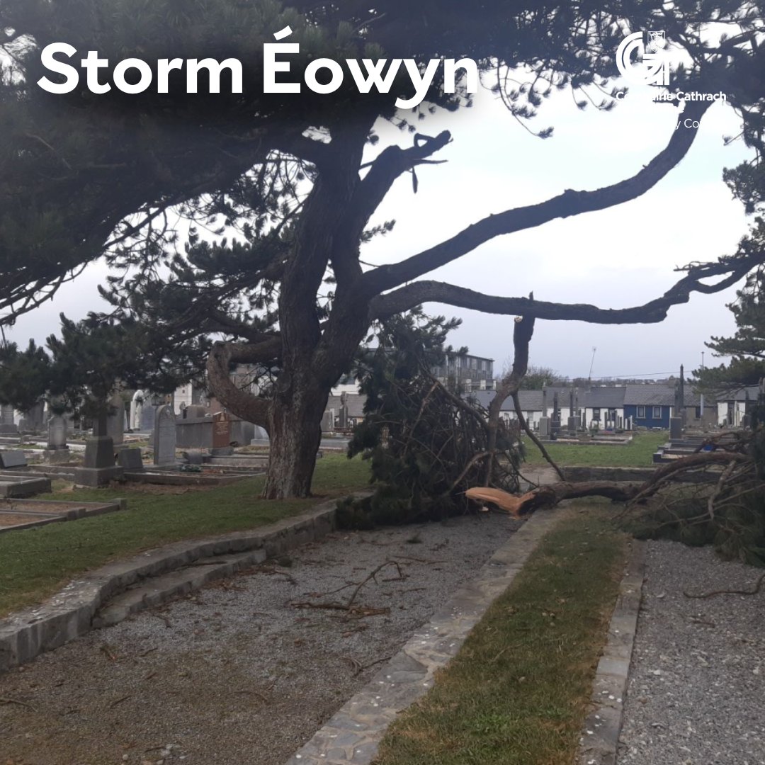 Due to damage caused by Storm Éowyn, Bohermore Cemetery is closed to the public at the moment. Burials are being facilitated.

Clean ups have commenced and the cemetery will reopen to the public as soon as it is safe to do so.

Rahoon Cemetery remains open to the public.