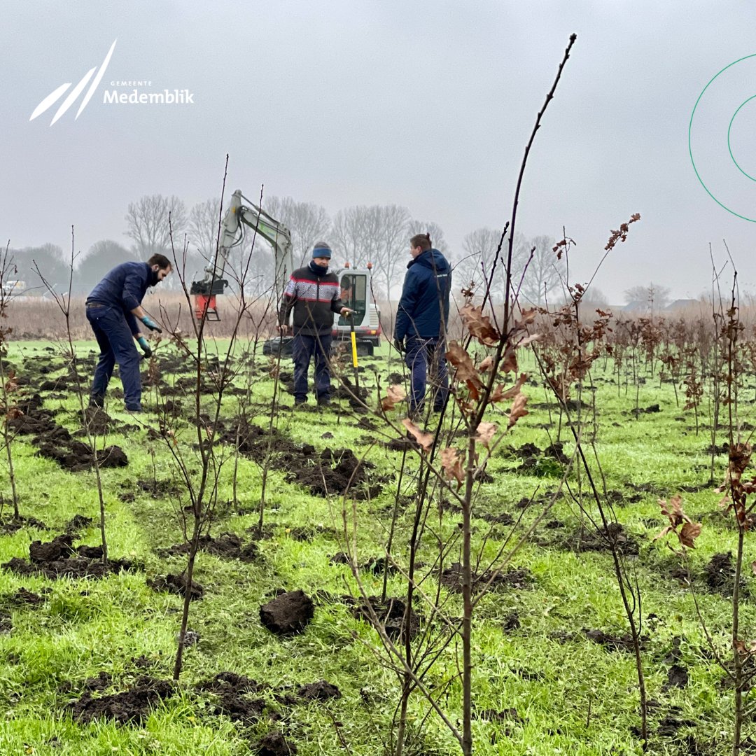 Nieuwe bomen gemeente Medemblik
Staatsbosbeheer is gestart met de aanplant van nieuw bos in De Weelen. Het gebied krijgt er zo’n 10 ha bos bij, dat wordt geplant op diverse kleine locaties.

Lees verder ➡️ duurzaammedemblik.nl/nieuws/grote-h…
