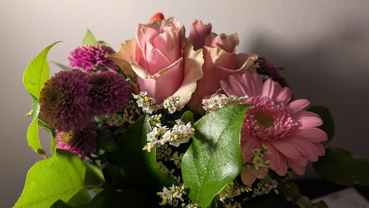 LadyAnnie | Una española en Alemania tweet media