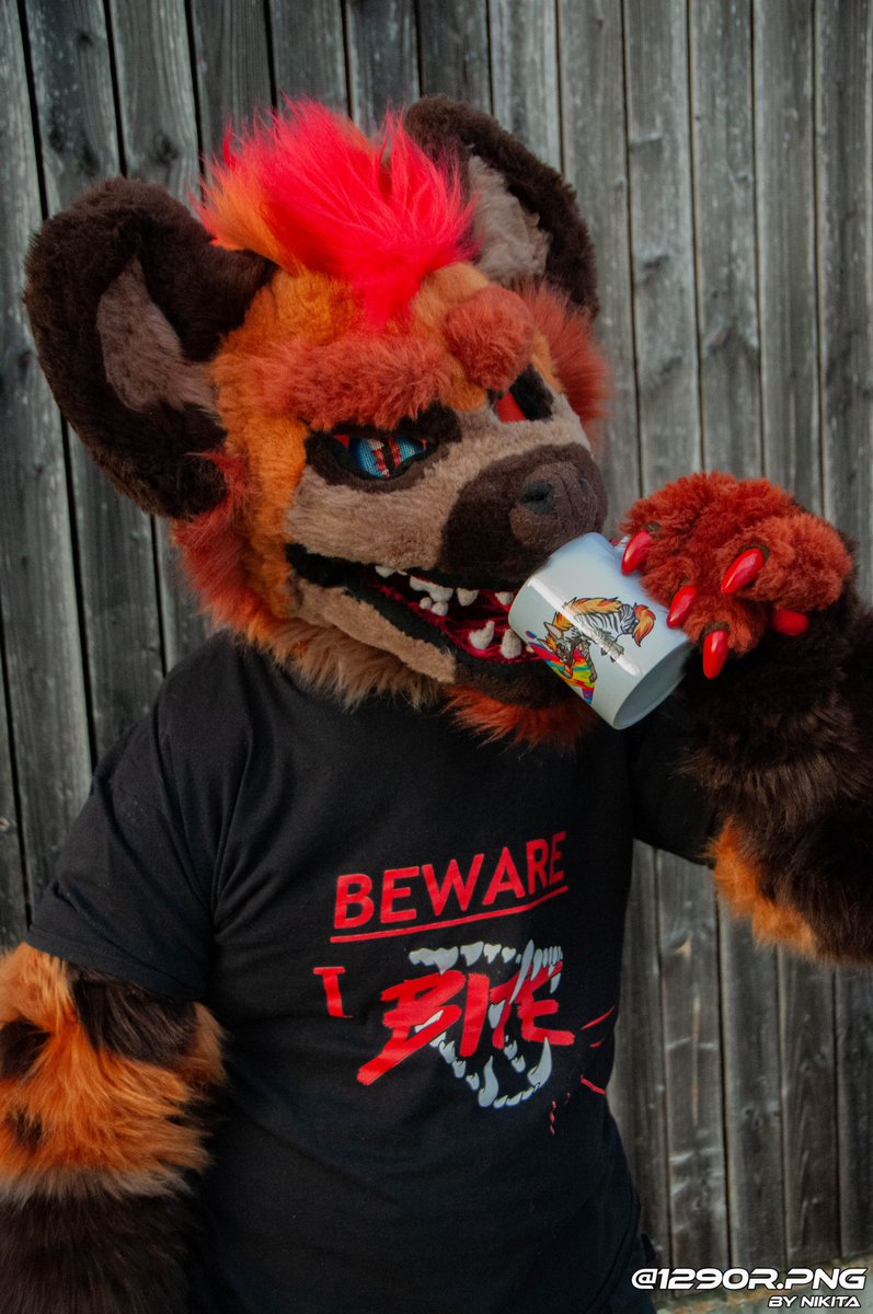 Behold the yeen who is a bean tweet media