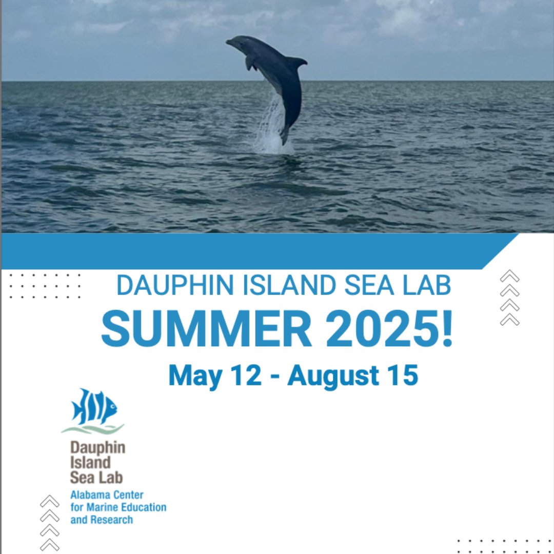 University of Montevallo Graduate Studies (@montevallograd) on Twitter photo Advance Your Studies at the Dauphin Island Sea Lab This Summer!
Looking to earn graduate course credit while diving into marine science?
Contact Jill Wicknick at the University of Montevallo!
wicknickja@montevallo.edu
Apply by February 17, 2025, for priority registration! Advance Your Studies at the Dauphin Island Sea Lab This Summer!
Looking to earn graduate course credit while diving into marine science?
Contact Jill Wicknick at the University of Montevallo!
wicknickja@montevallo.edu
Apply by February 17, 2025, for priority registration!