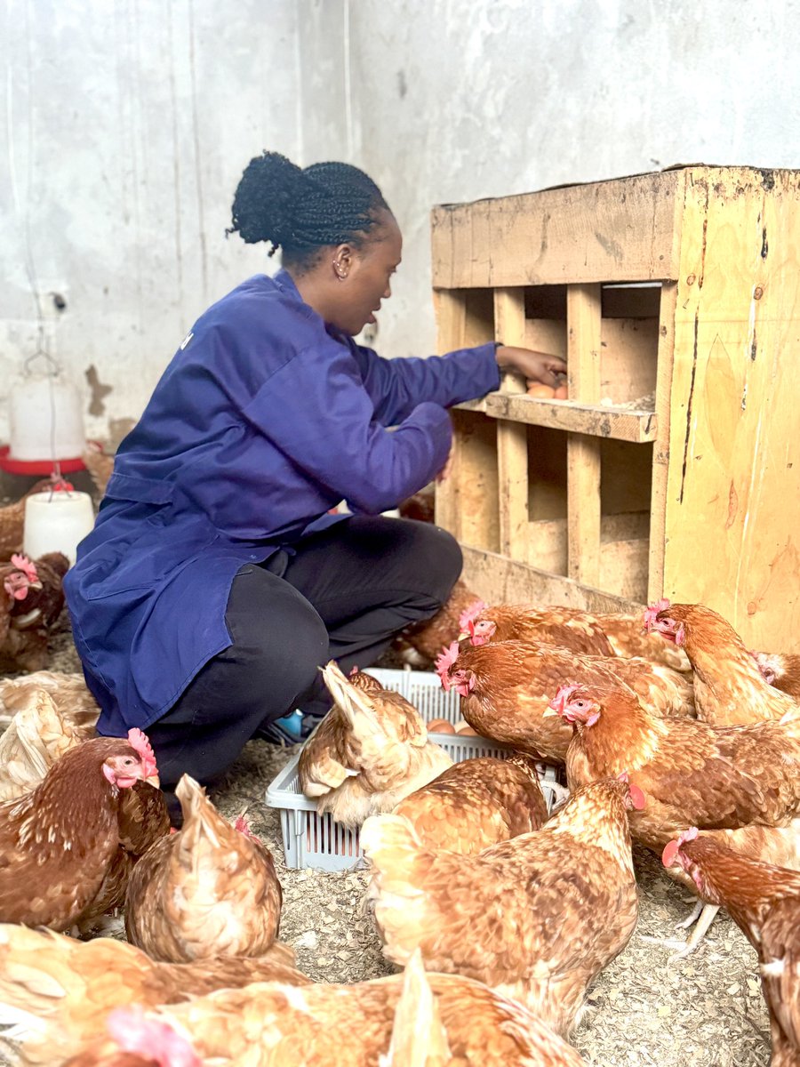 Eagle_Farmltd's tweet image. Happy Monday everyone 😍this is the start to an amazing week filled with happiness and positivity 🙏