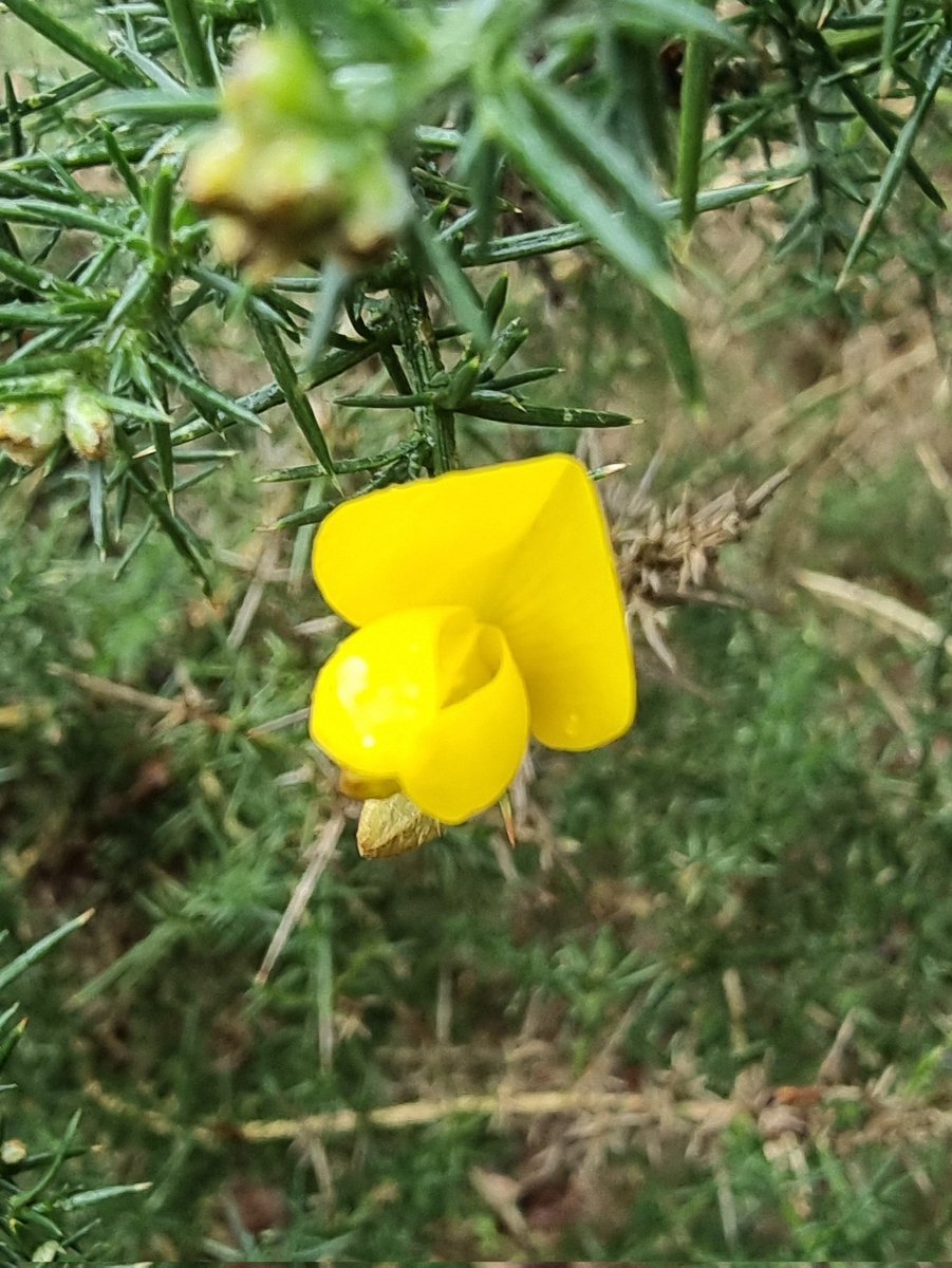 respecting nature tweet media