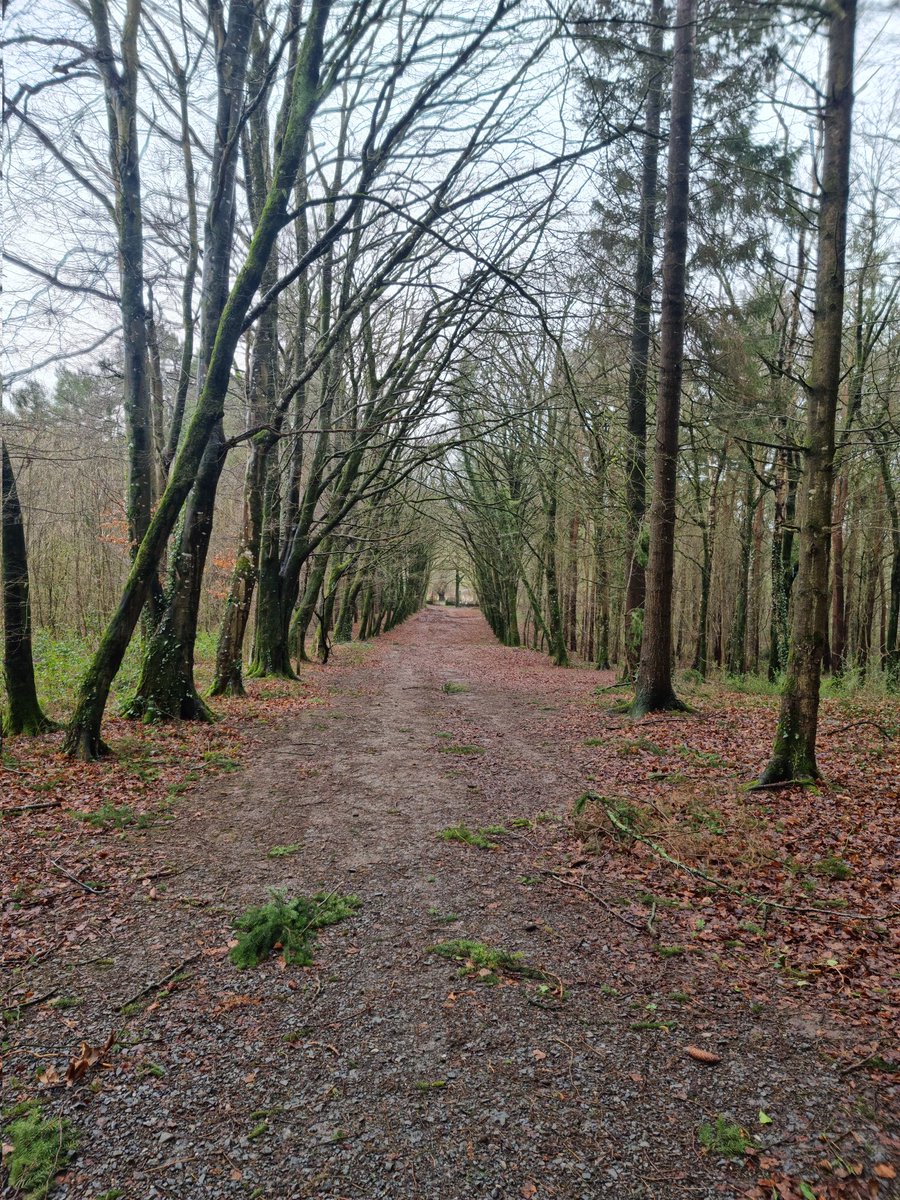 respecting nature tweet media