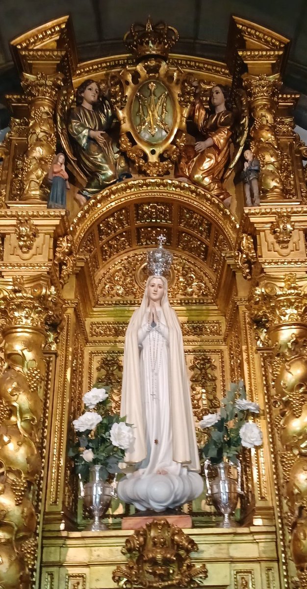 FE y más FE tweet media