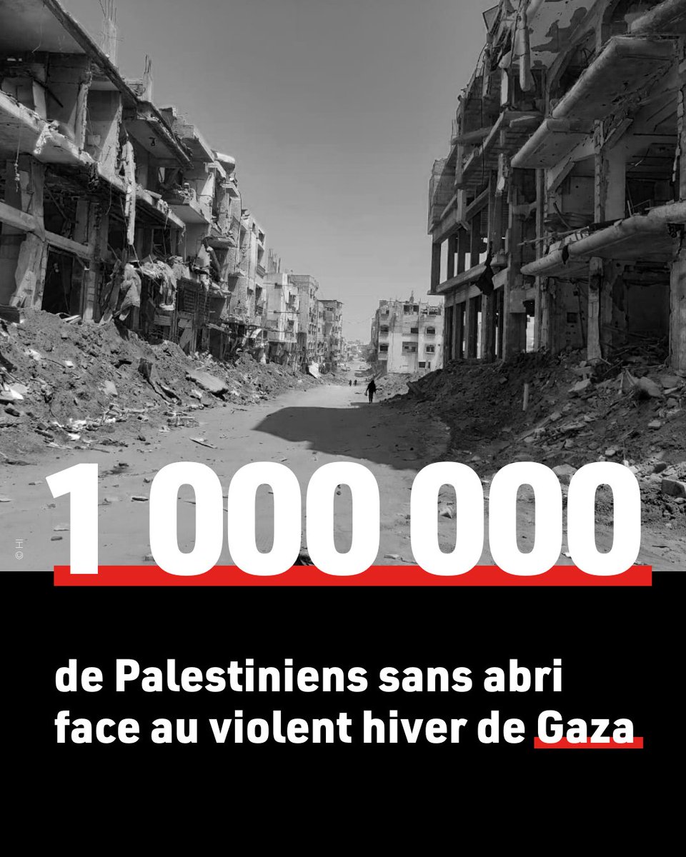 🌎 À Gaza, les populations déplacées vivent dans des conditions épouvantables, confrontées au froid et à la pluie.

📊 Seulement 23 % des besoins en abris pour l'hiver ont été couverts, laissant près d'1 million de Palestiniens sans toit.*

*selon le Norwegian Refugee Council