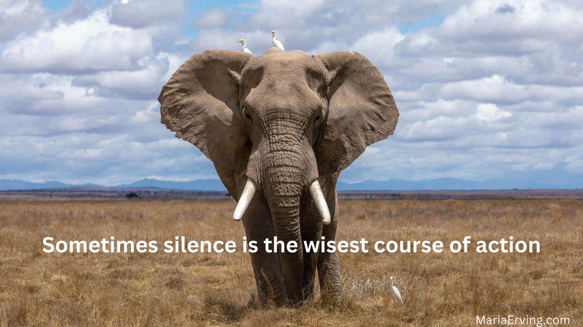 mariaerving's tweet photo. Choose Your Battles Wisely –The Elephant Story: https://t.co/cOAAFFZ3Pu #ChooseYourBattles #MindsetMatters #HigherVibrations #DramaFree #InnerPeace #DramaFreeLife #PositiveEnergy #FocusOnWhatMatters #InspirationalStories #ElephantStory #PersonalGrowth #ChooseJoy #ShiftYourEnergy https://t.co/R4vY8CyM7h
