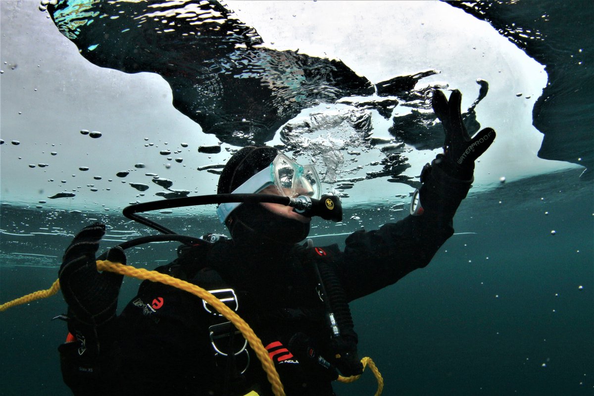 Diversinc's tweet image. Ice diving season is upon us! ❄️ 

The weather is cooperating locally, and we’re ready for some thrilling ice dives. 

Ready to dive beneath the ice with Divers Incorporated? 🤿 

#IceDiving #ColdWaterDiving #ScubaAdventure #DiveWithDiversInc