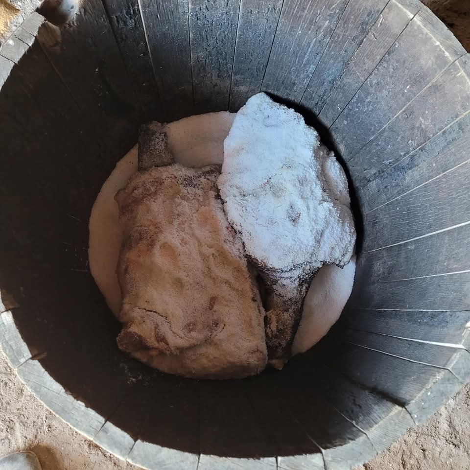 BarringtonSHS's tweet photo. “On a cold morning, generally about New Year's day, [hogs] are slaughtered... piled one above the other in salt, upon large tables in the smoke-house.” 
 -Solomon Northup, Twelve Years a Slave -1853

#livinghistory #barringtonshs #tlha #texas #alhfam https://t.co/xiux2tIWNg