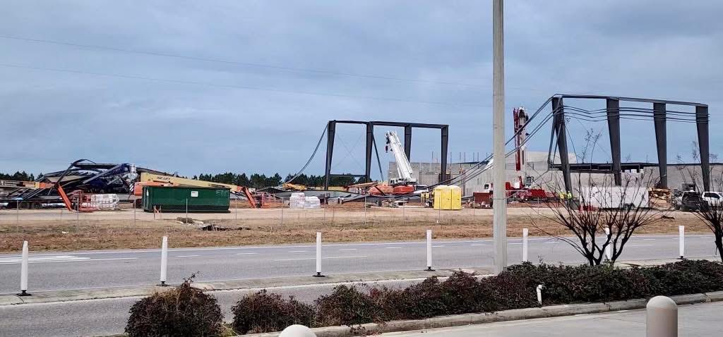 Simone Eli tweet media