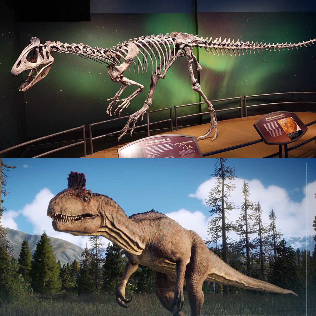 Cryolophosaurus

#JurassicWorldRebirth #Rebirth #JurassicWorldDominion #dinosaurs #paleoart #jurassic #animals #nature #dino #dinosaur #fossil #paleontology #paleontologist #jurassicpark #jurassicworld #Cryolophosaurus #theropod #thelostworld #jurassicpark3 

🦖❤️🦕