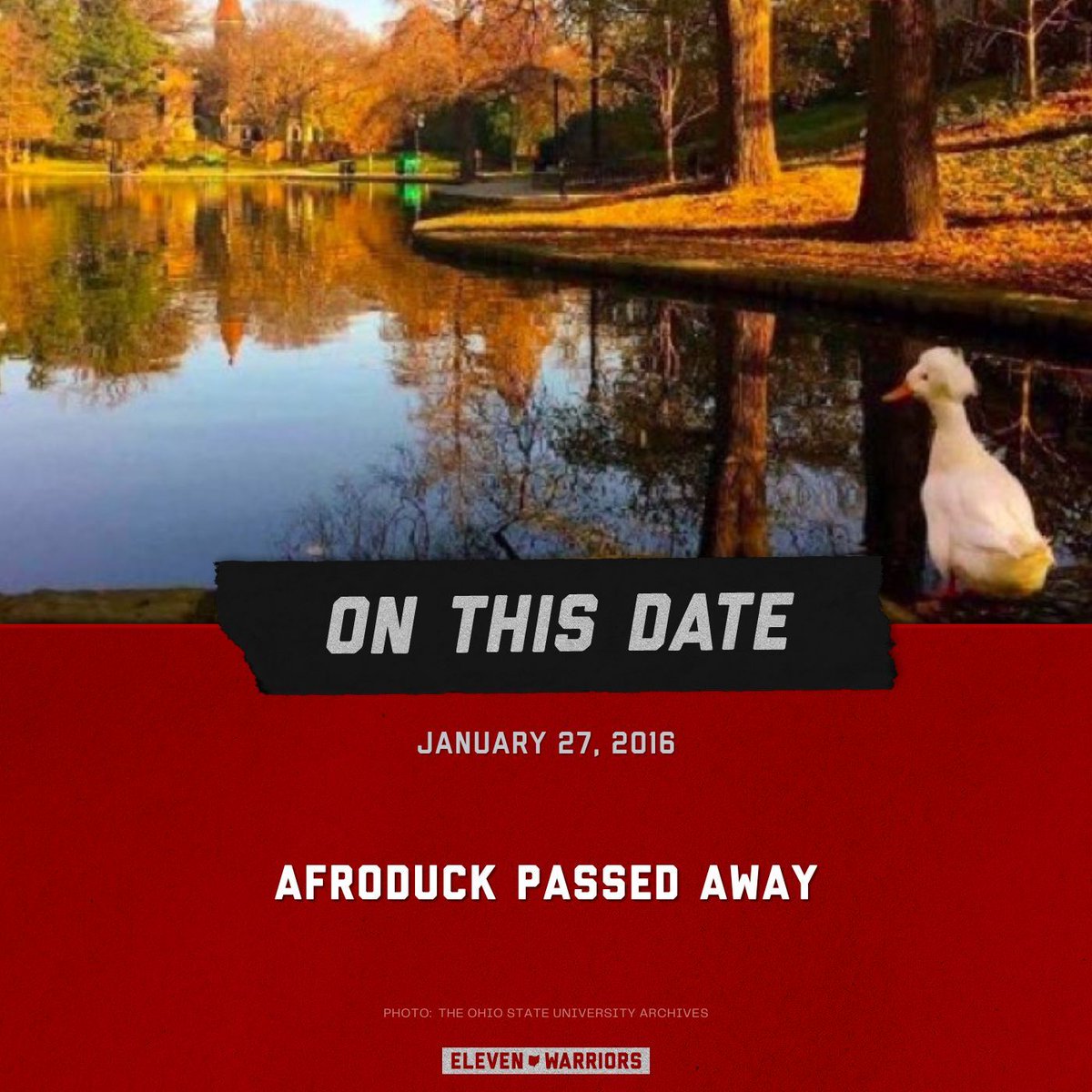 On this day in 2016, we lost a legend. RIP Afroduck😢