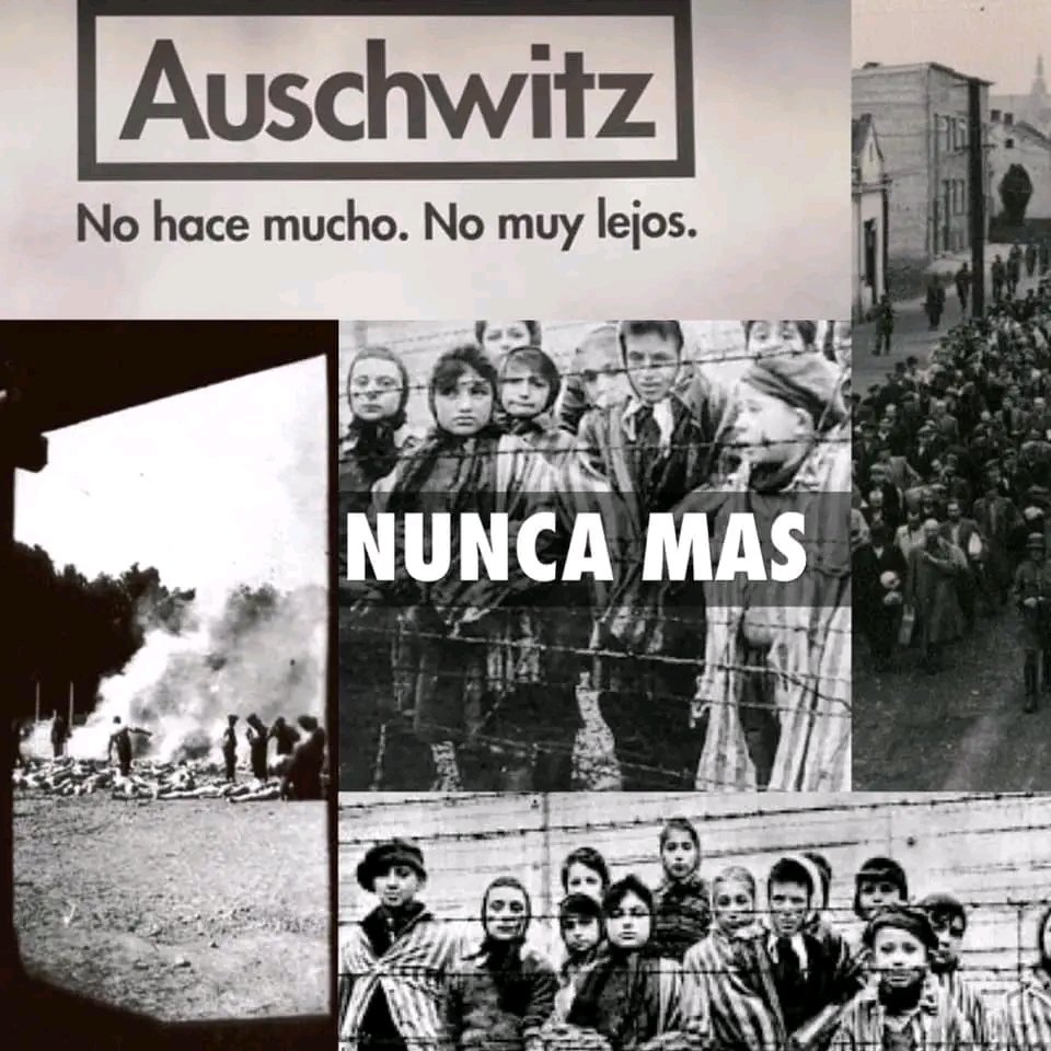 pepecampostruji's tweet photo. "No comenzó todo con las cámaras de gas... Comenzó todo con los discursos de odio en plazas y medios de comunicación"

80 años de la liberación del campo nazi de exterminio de #Auschwitz

✔️ NUNCA MAS

DIFUNDE el texto Primo Levi sobreviviente de aquel infierno

#Auschwitz80 https://t.co/L4Kk1JRRq3
