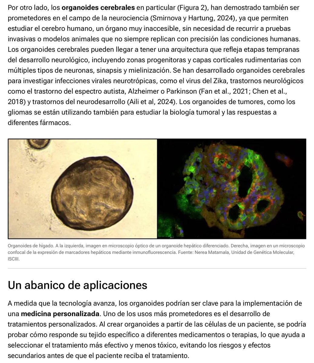 Sombradoble tweet media