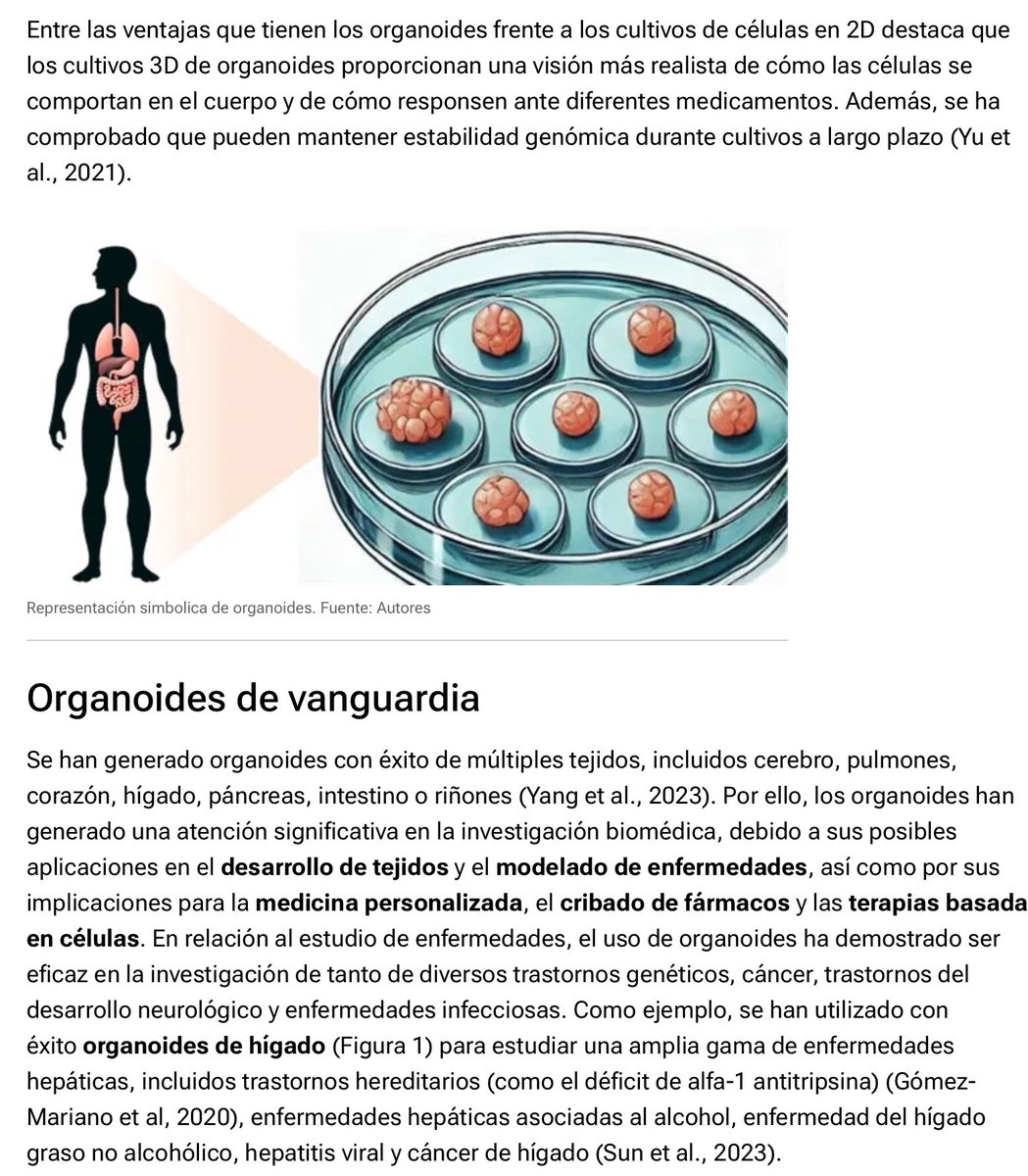 Sombradoble tweet media
