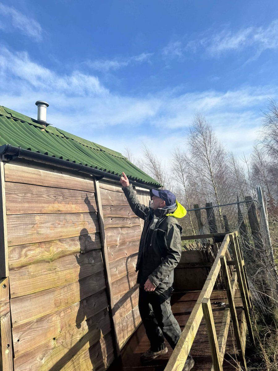 Andover Trees United tweet media