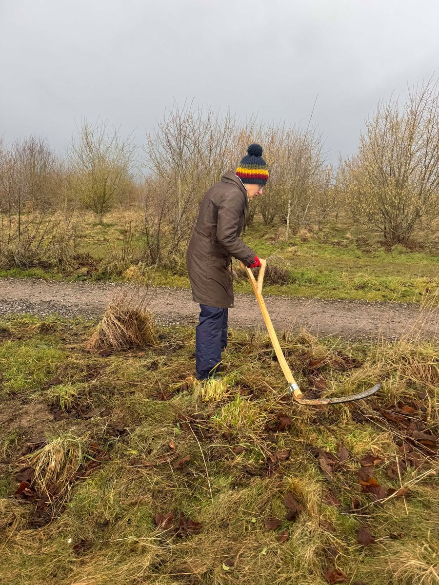 Andover Trees United tweet media