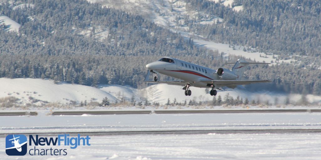 New Flight Charters tweet media