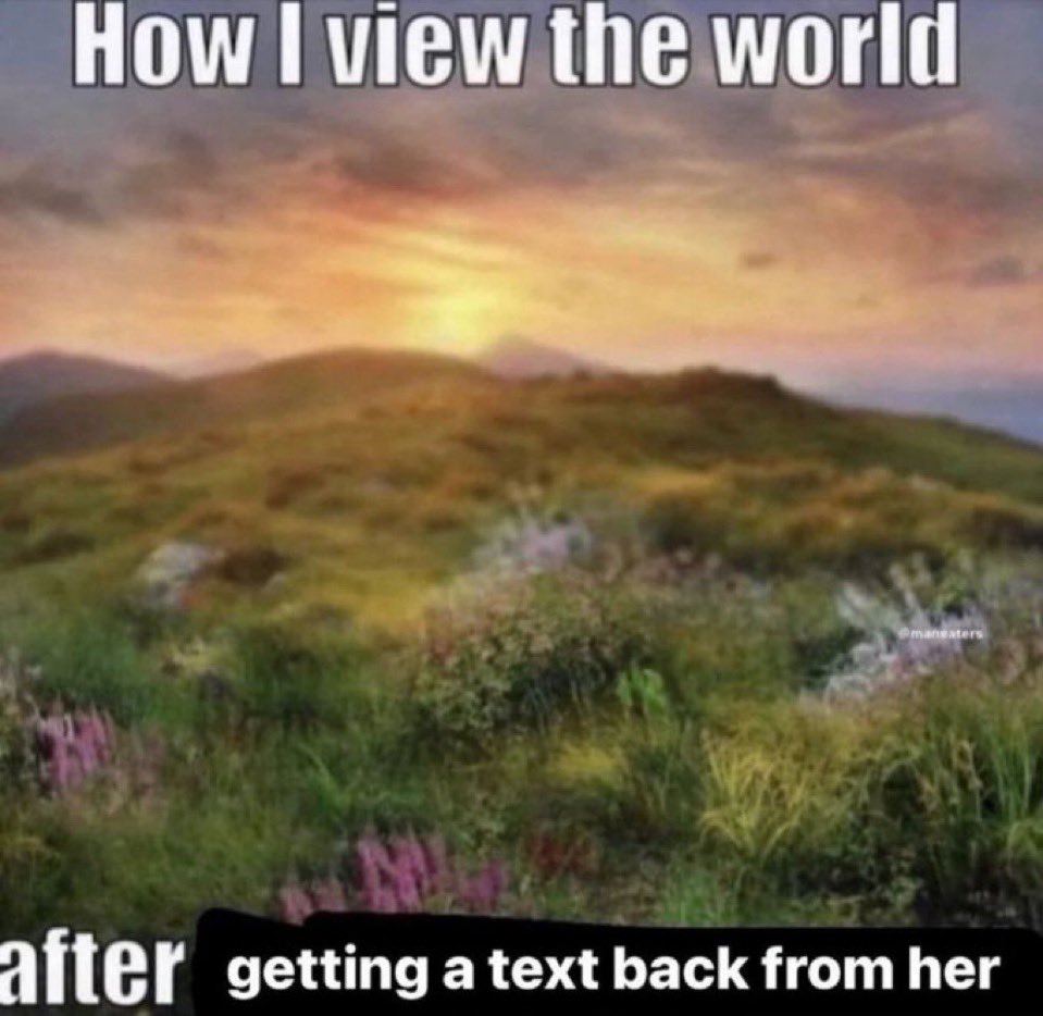 rated ✧* tweet media