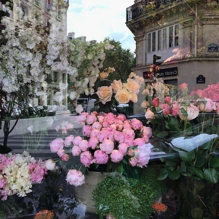 flower shopping
