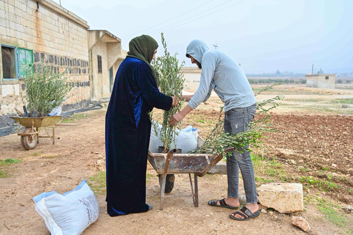 UndpSyria's tweet image. 💧&quot;Doing more with less.&quot; Women in rural #Aleppo are driving change with @UNDP climate initiatives, developing income-generating projects like water-saving irrigation &amp;amp; olive tree planting to benefit communities
🌿 Empowering women in #Syria
#FundingWindows🇩🇰
#BuildForwardBetter