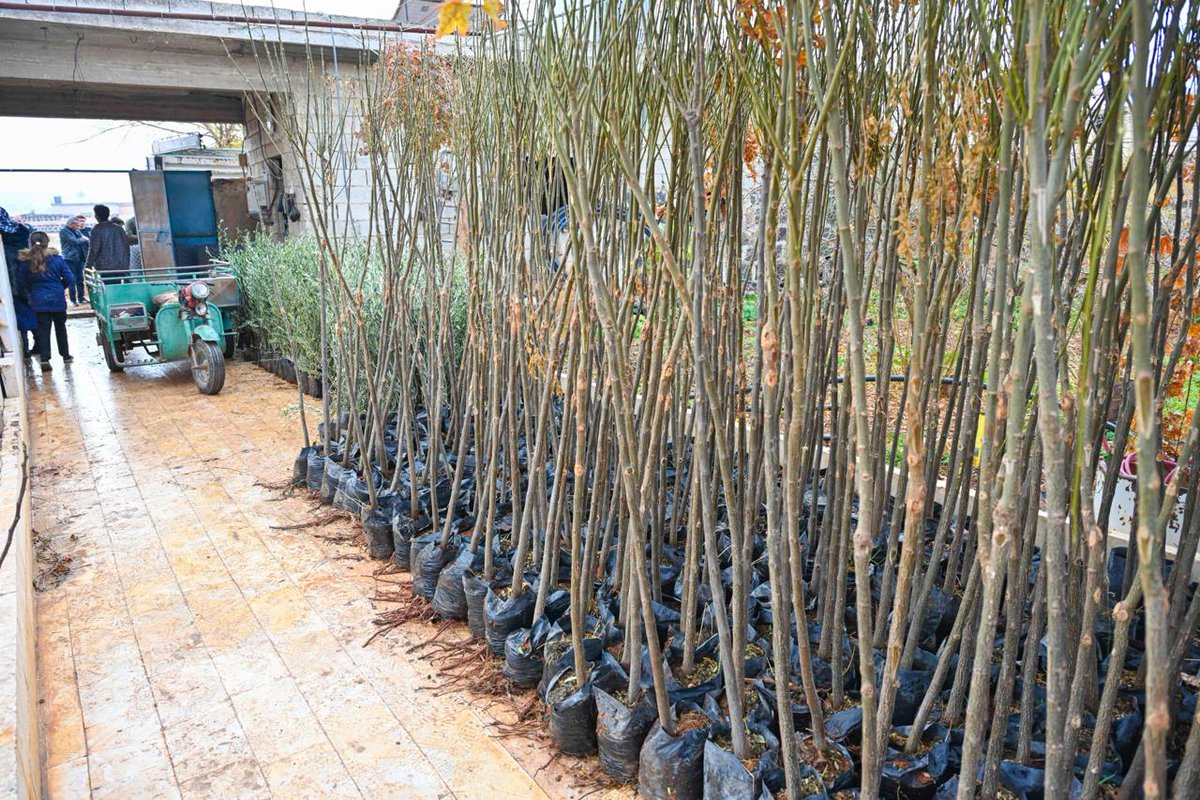 UndpSyria's tweet image. 💧&quot;Doing more with less.&quot; Women in rural #Aleppo are driving change with @UNDP climate initiatives, developing income-generating projects like water-saving irrigation &amp;amp; olive tree planting to benefit communities
🌿 Empowering women in #Syria
#FundingWindows🇩🇰
#BuildForwardBetter