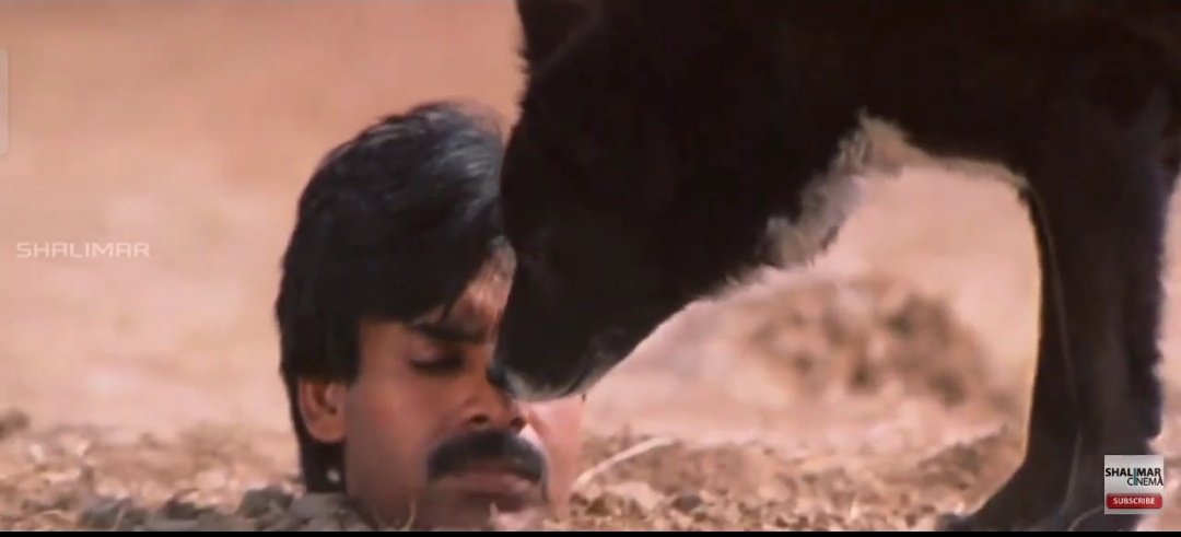 wildddhfm's tweet photo. @Thekalyan_cult https://t.co/VLoreCesId