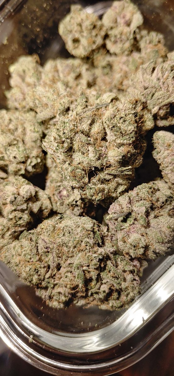 So I feel blessed. A surprising random "hey pal..." message from a guy I have tons of regard for turned in to this👇
👊❤️ 2 wonderful varieties that are distinctly different and obviously grown with love and care. Great grass!! Thanks man! 
#cannabis