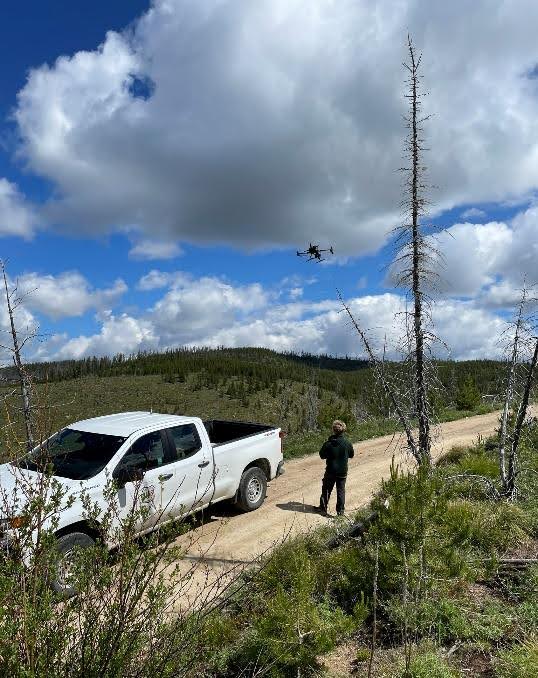 CWSF (@westernforester) on Twitter photo 💡 #GoodNeighborAuthority Spotlight: A GNA project between <a href="/IdahoLands/">ID Dept. of Lands</a> and <a href="/salmonchallisnf/">Salmon-Challis NF</a> utilized state-of-the-art technology to accomplish regeneration surveys on more than 10,000 acres burned in the 2012 Mustang Fire. Learn more at thewflc.org/partnerships/g… 📸: Will Bedient 💡 #GoodNeighborAuthority Spotlight: A GNA project between <a href="/IdahoLands/">ID Dept. of Lands</a> and <a href="/salmonchallisnf/">Salmon-Challis NF</a> utilized state-of-the-art technology to accomplish regeneration surveys on more than 10,000 acres burned in the 2012 Mustang Fire. Learn more at thewflc.org/partnerships/g… 📸: Will Bedient