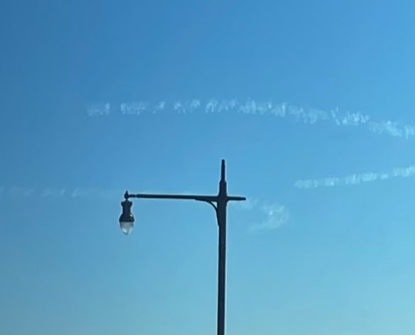 Dani🇺🇸🇮🇹 tweet media