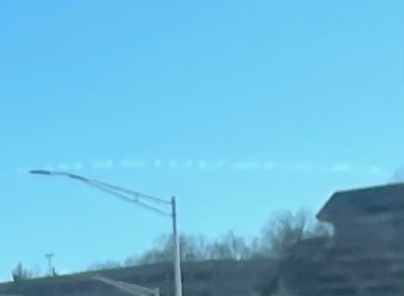 Dani🇺🇸🇮🇹 tweet media