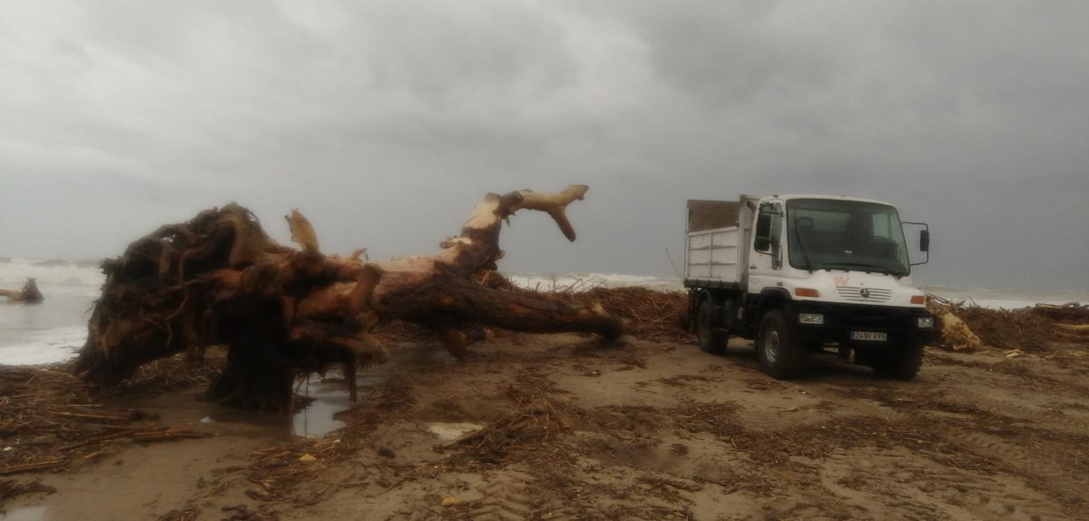 Asociación empresarios El Saler (@aeelsaler) on Twitter photo Tras la DANA, nuestra playa sigue llena de cañas y restos que no se retiran. El ritmo de limpieza es tan lento que Semana Santa llegará antes que las soluciones del <a href="/AjuntamentVLC/">Ajuntament València</a> <a href="/DGobiernoCV/">Delegación del Gobierno en la Comunitat Valenciana</a> <a href="/mjosecatala/">María José Catalá</a> <a href="/pilarbernabe/">Pilar Bernabé /❤️</a> ¿Hasta cuándo este abandono?
#ElSalerAbandonado Tras la DANA, nuestra playa sigue llena de cañas y restos que no se retiran. El ritmo de limpieza es tan lento que Semana Santa llegará antes que las soluciones del <a href="/AjuntamentVLC/">Ajuntament València</a> <a href="/DGobiernoCV/">Delegación del Gobierno en la Comunitat Valenciana</a> <a href="/mjosecatala/">María José Catalá</a> <a href="/pilarbernabe/">Pilar Bernabé /❤️</a> ¿Hasta cuándo este abandono?
#ElSalerAbandonado