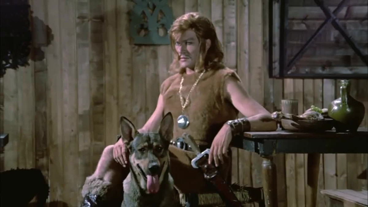 Ulen Tarkan hayvana bi kere katıl kurt demedin. Hep atıl kurt hep atıl kurt...