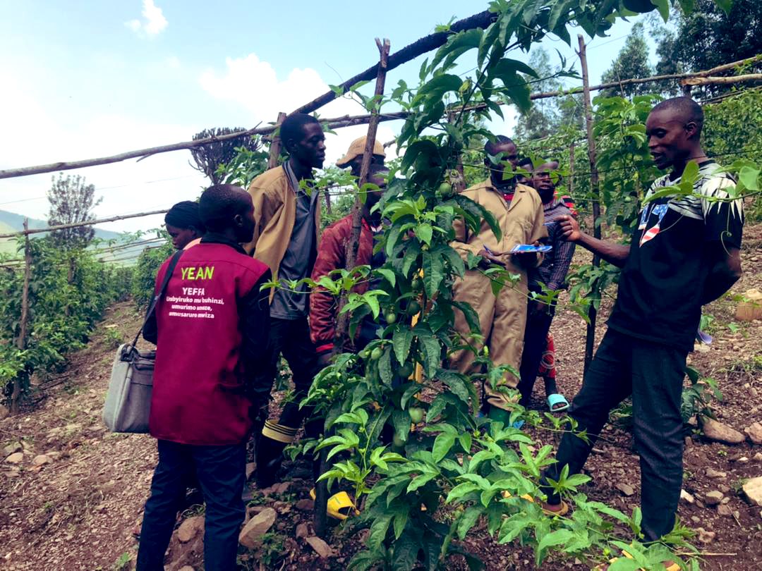 YEAN_Agro's tweet photo. We appreciate the passion, dedication, and resilience of young people in agriculture. They are driving innovation, ensuring food security, and shaping a sustainable future. This is not only just a product of hard work but a testament to the power of youth in transforming agriculture. Let’s continue to support and invest in young agripreneurs for a thriving and food-secure tomorrow!