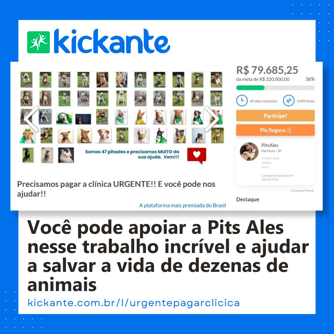 Kickante tweet media