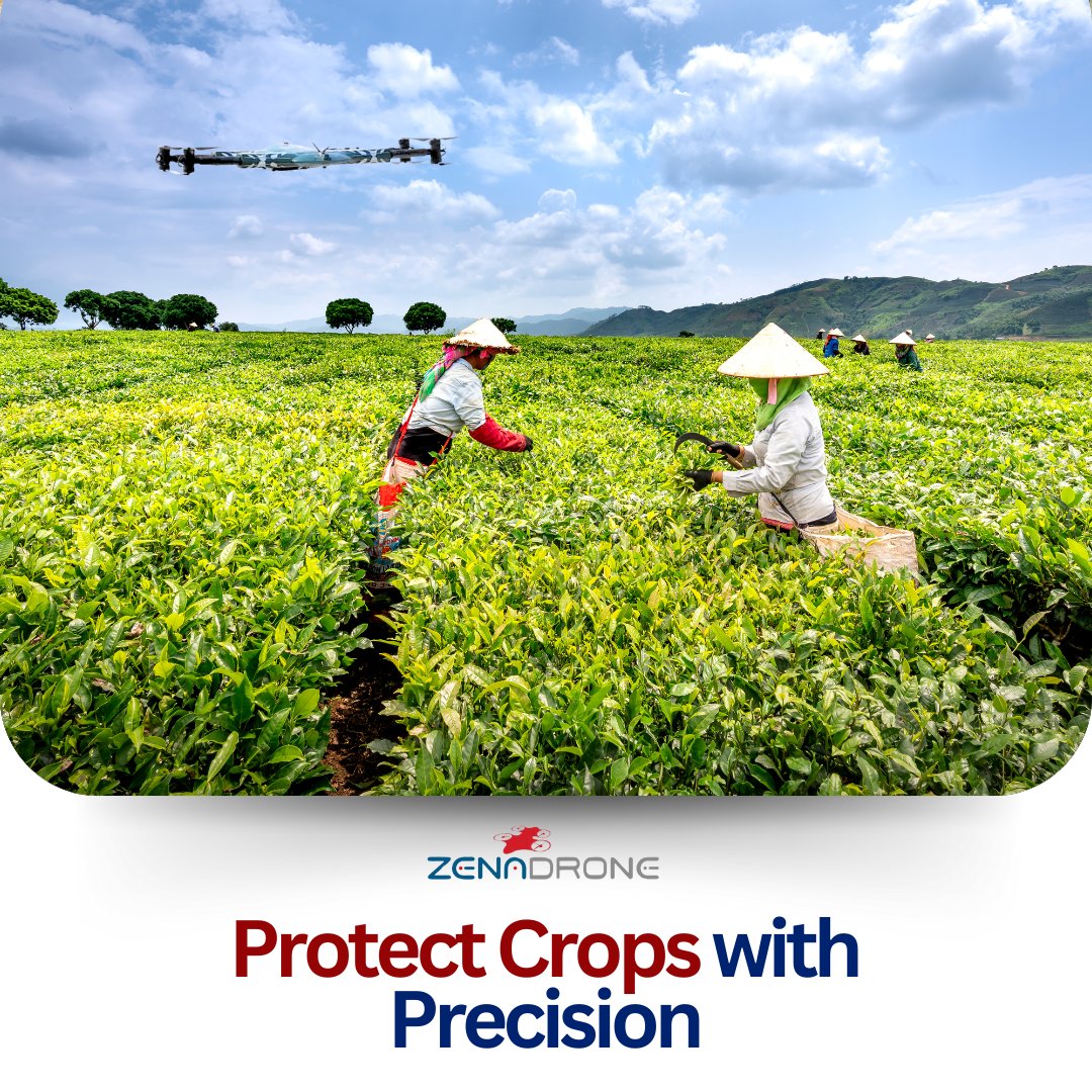 ZenadroneInc's tweet photo. Simplify Crop Insurance with Drone Technology
Drones provide farmers with accurate data on pest detection, crop health, and damage assessment, making insurance claims faster and more reliable. 

📥 Learn more: https://t.co/C566ezaZDj

#CropProtection #TechForInsurance https://t.co/Ay0wjKIU6h