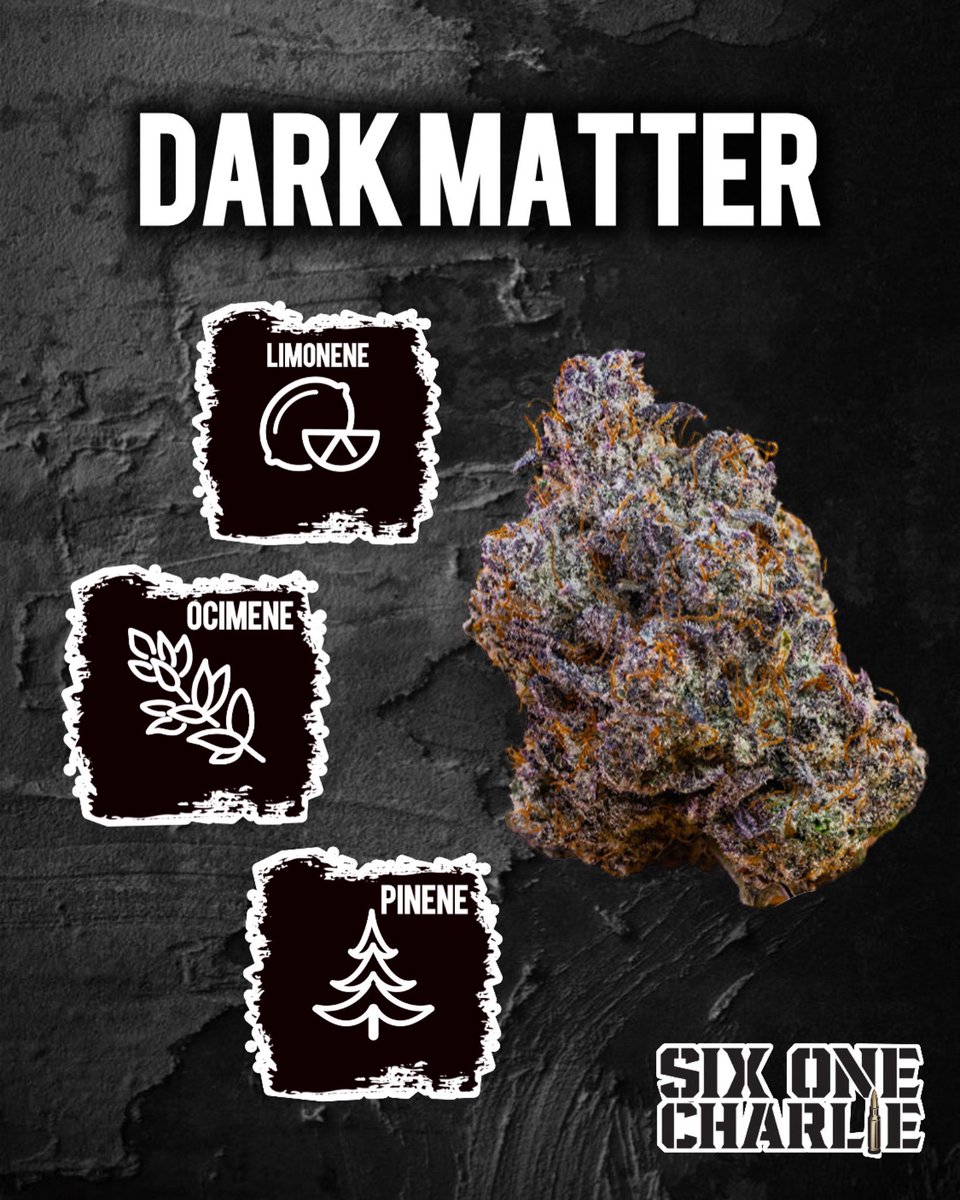 SixOneCharlie tweet media