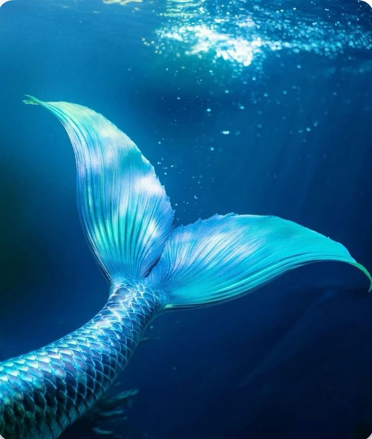 ilovmho's tweet photo. Imagina que eres una sirena 🧜‍♀️
Elige la respuesta en las encuestas⬇️
──── ୨ৎ ──── https://t.co/CccLerNL7v