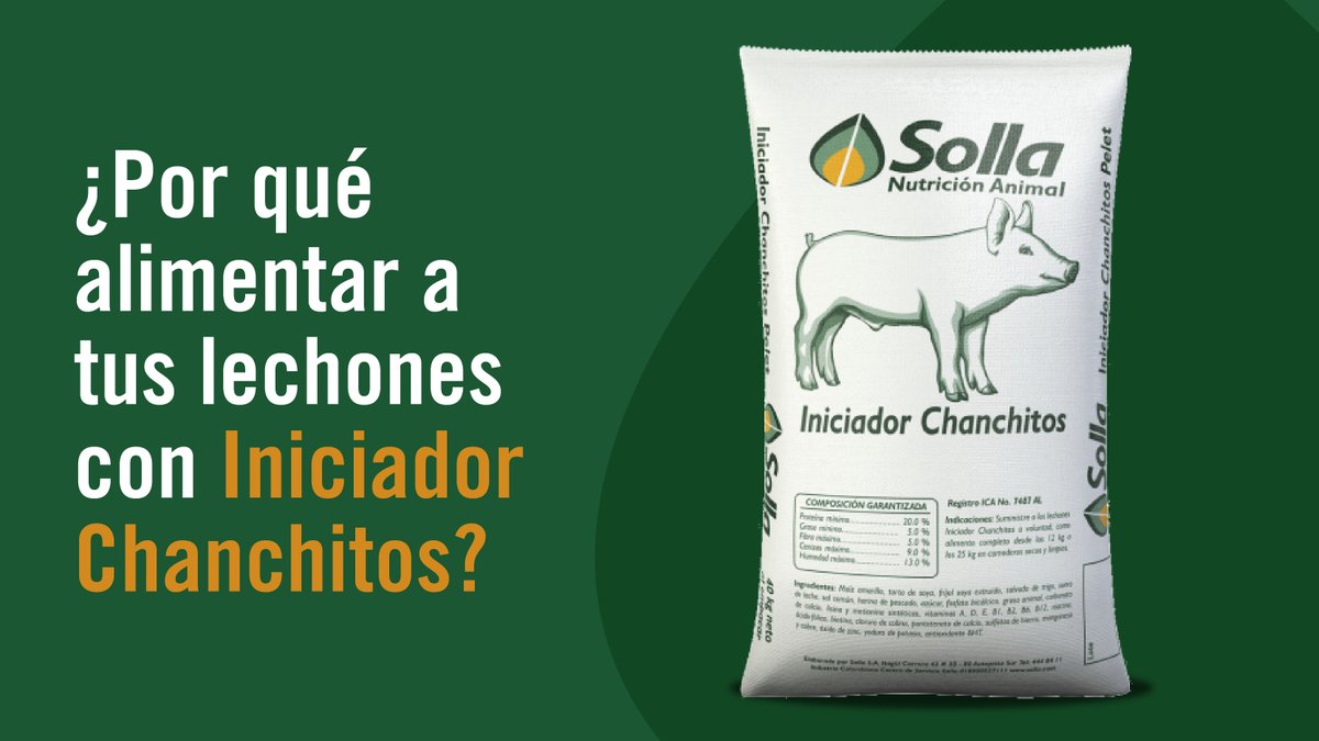 SollaNutricion's tweet photo. Este alimento favorece la maduración del sistema digestivo de los lechones, mejorando su capacidad para digerir y aprovechar los nutrientes, asegurando un crecimiento eficiente y robusto.
Clic aquí https://t.co/nU2bOKjywp
#Solla #NutriciónAnimal
#Porcicultura #Lechones https://t.co/QBucwU6WNJ