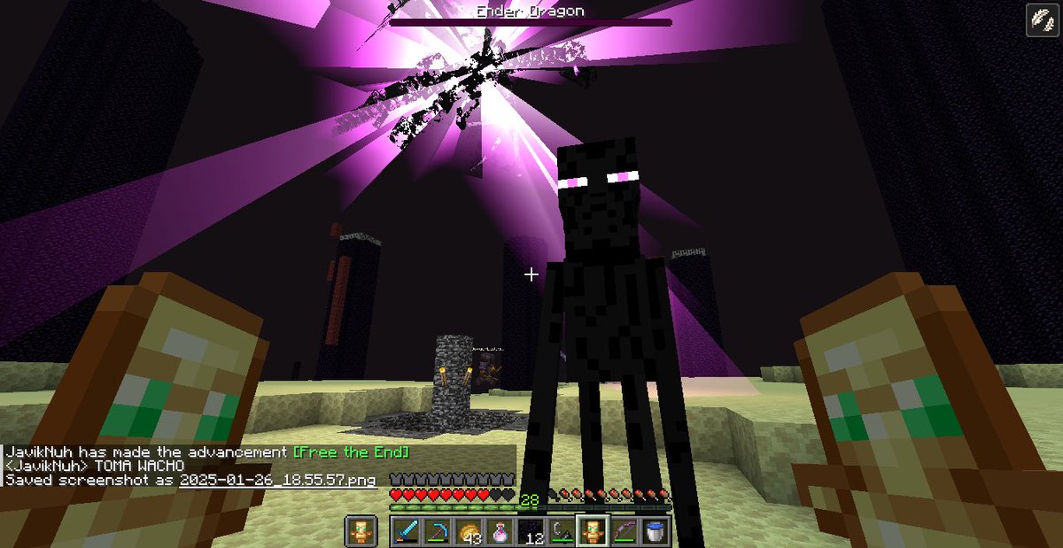 Peregogo tweet media