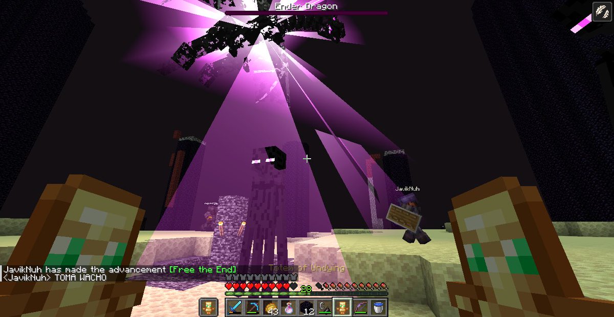 Peregogo tweet media